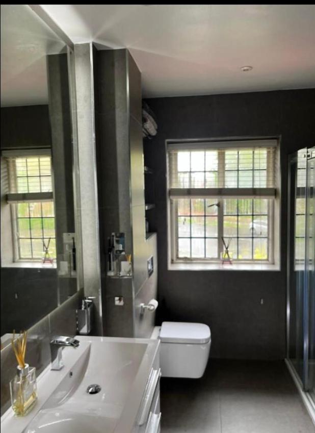 Wandsworth, South London Deluxe King Room 4 Екстер'єр фото